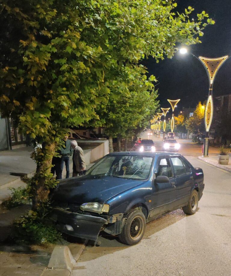 Edirne’de, ağaca çarpan otomobilin alkollü sürücüsü yaralandı