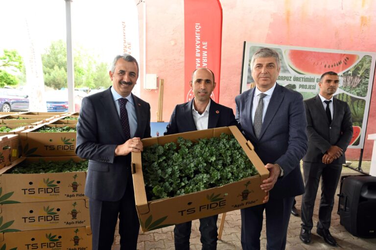 Edirne’de üreticilere, 66 bin karpuz fidesi dağıtıldı