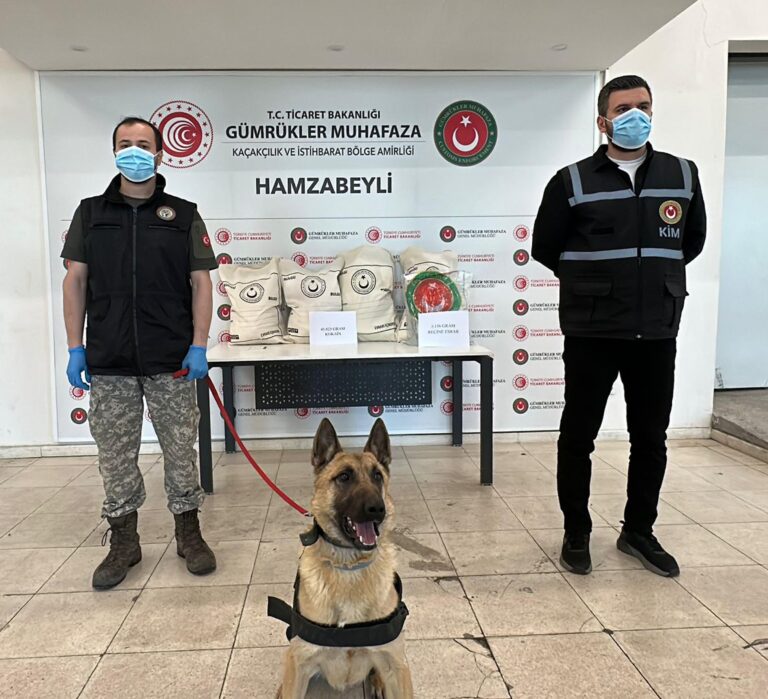 Hamzabeyli’de 50 kilo uyuşturucuyu ‘Bodri’ buldu