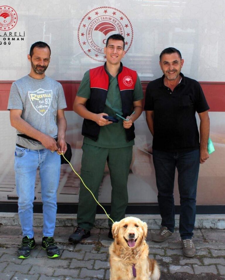 Kayıp köpek, mikroçip sayesinde sahibine kavuşturuldu