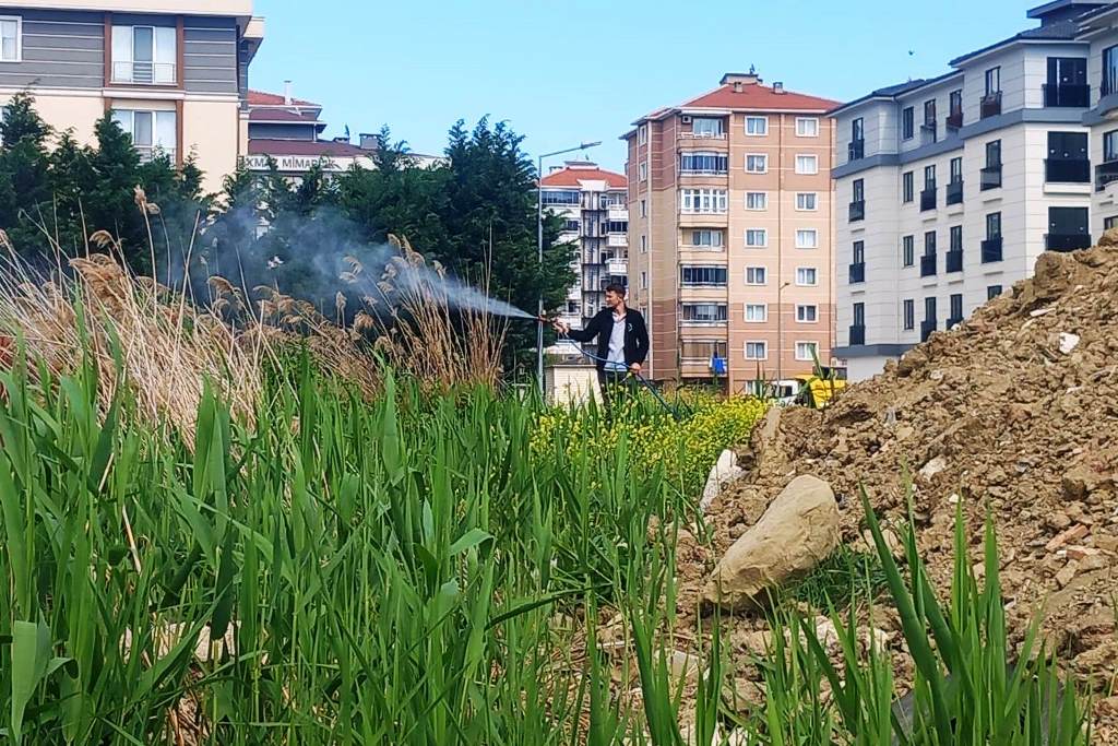 Süleymanpaşa Belediyesi’nden Sivrisineklere Karşı Vatandaşlara Çağrı Süleymanpaşa Belediyesi’nden Sivrisineklere Karşı Vatandaşlara Çağrı