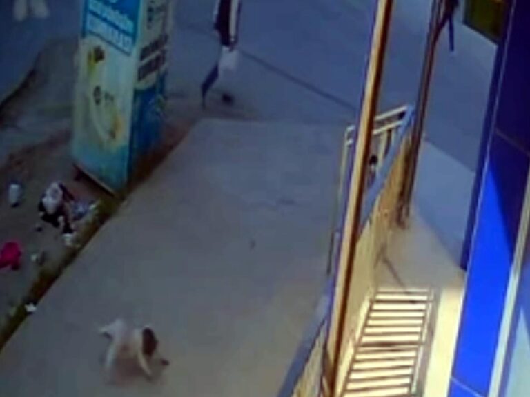 5’inci Kattan Düşen Bebek Öldü
