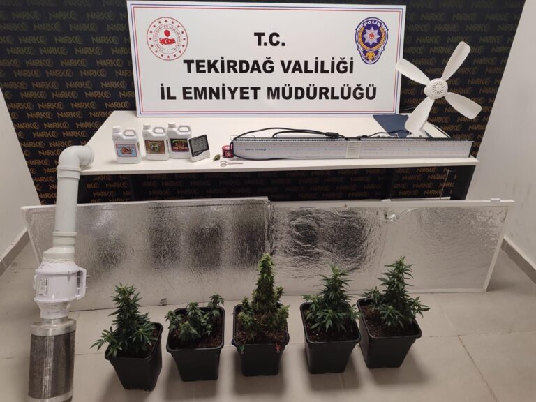 Tekirdağ’da evlerinde uyuşturucu yetiştiren 2 şüpheli yakalandı | Çorlu’da Haber