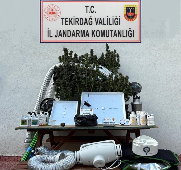 Jandarmadan Uyuşturucu Operasyonu