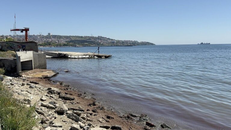 Tekirdağ’da kuvvetli rüzgar sonrası sahil kırmızı yosunlarla kaplandı | Çorlu’da Haber