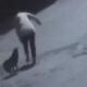 Sokak Köpeğinin Saldırısına Uğrayan Kadın Yaralandı