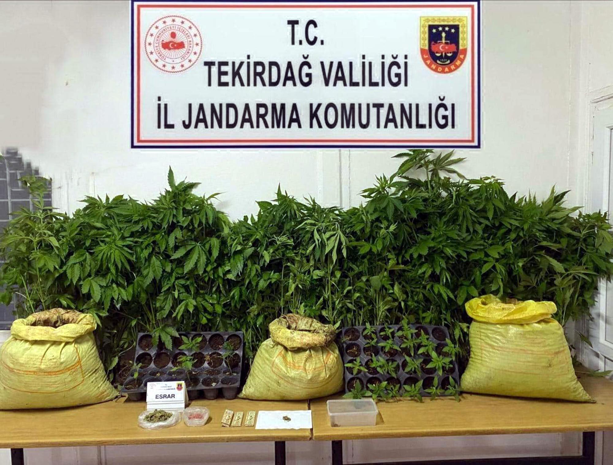 Tekirdağ’da uyuşturucu operasyonlarında 7 gözaltı | Çorlu’da Haber Tekirdağ’da uyuşturucu operasyonlarında 7 gözaltı | Çorlu’da Haber