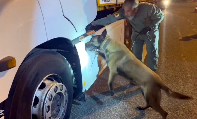 TIR’daki 5,5 kilo uyuşturucuyu ‘Viva’ buldu | Çorlu’da Haber