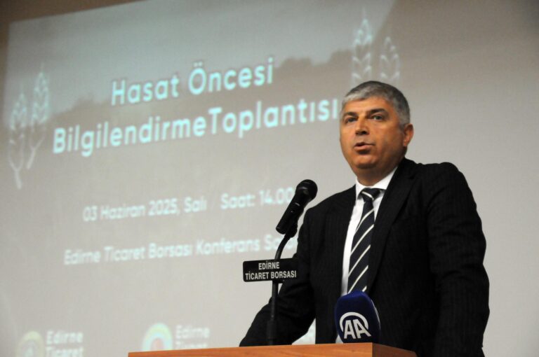 Edirne’de buğdayda rekolte beklentisi; 720 bin ton