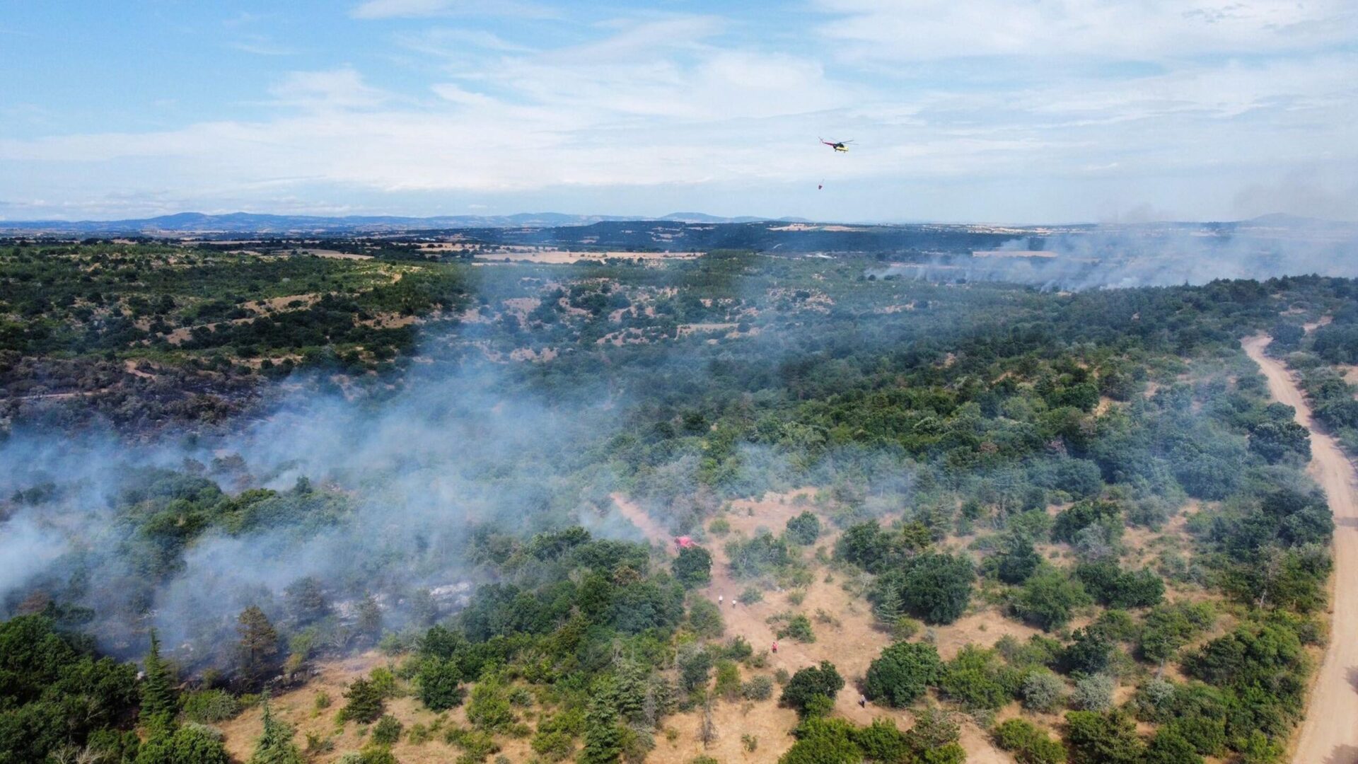 Edirne’de orman yangını Edirne’de orman yangını