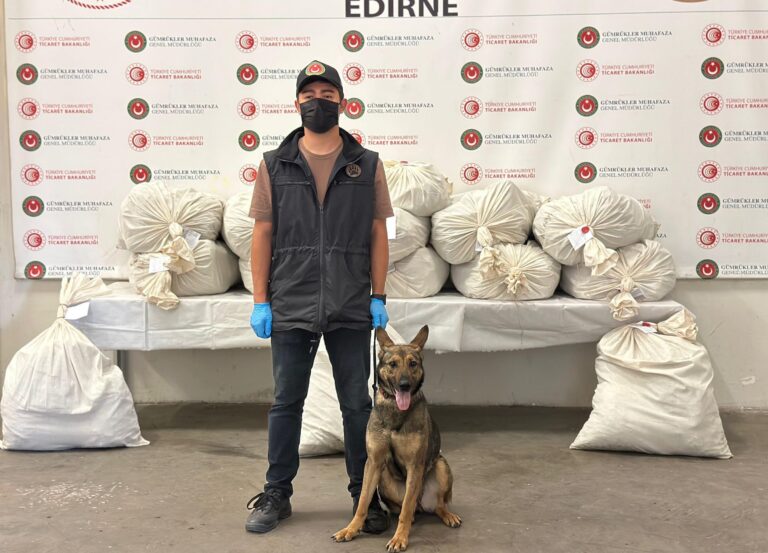 Kapıkule’de 2 TIR’da toplam 212 kilo esrar ele geçirildi
