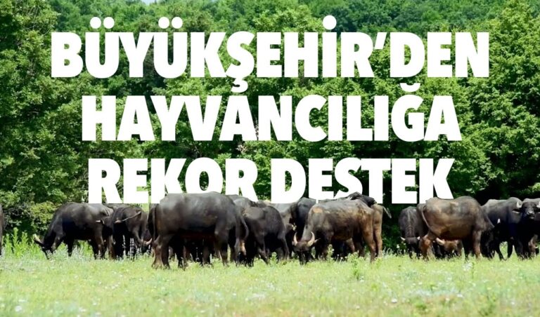 TEKİRDAĞ BÜYÜKŞEHİR BELEDİYESİ’NDEN HAYVANCILIĞA REKOR DESTEK