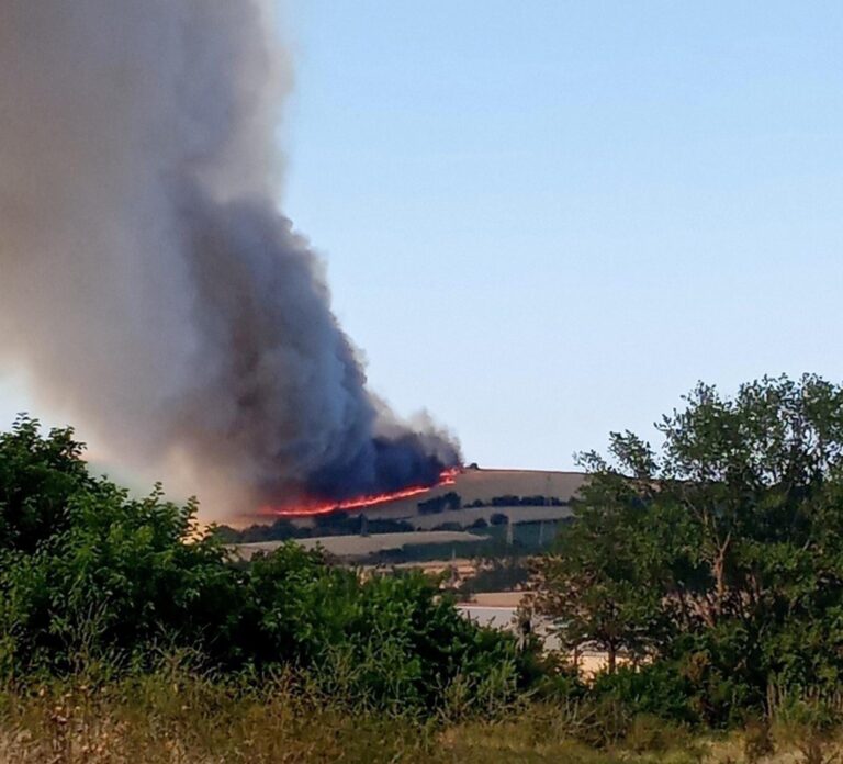 Tekirdağ’da 200 dönüm buğday tarlası yandı | Çorlu’da Haber