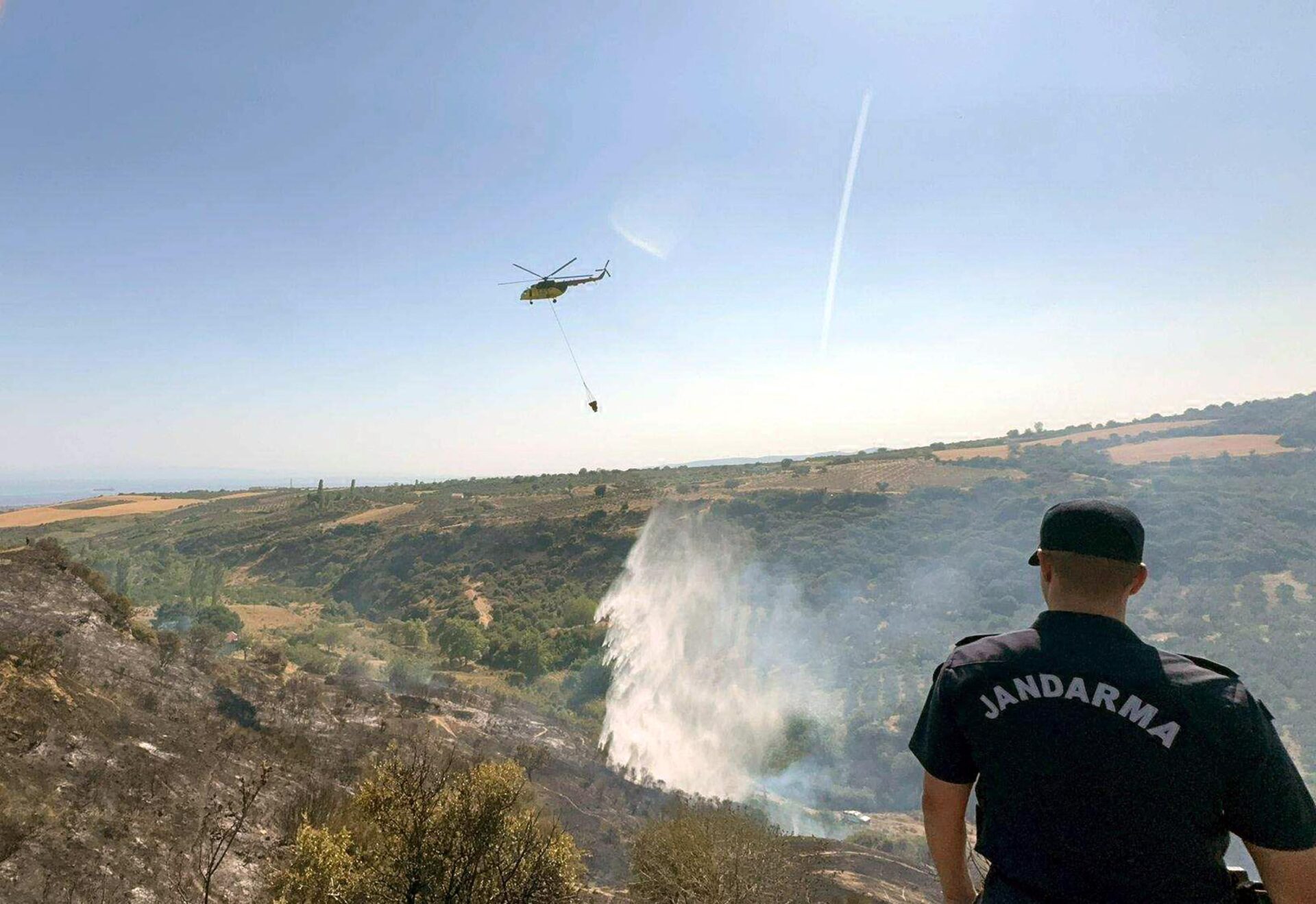 Tekirdağ’da makilik yangını: 2,5 hektarlık alan zarar gördü | Çorlu’da Haber Tekirdağ’da makilik yangını: 2,5 hektarlık alan zarar gördü | Çorlu’da Haber
