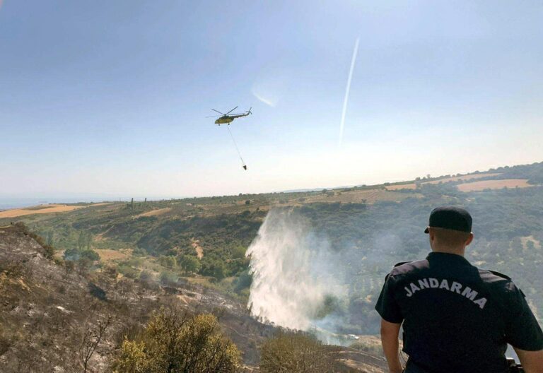 Tekirdağ’da makilik yangını: 2,5 hektarlık alan zarar gördü | Çorlu’da Haber
