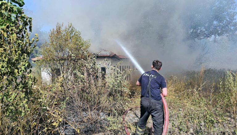 Edirne’de anız yangını; kara yolu kapatıldı / Ek fotoğraflar