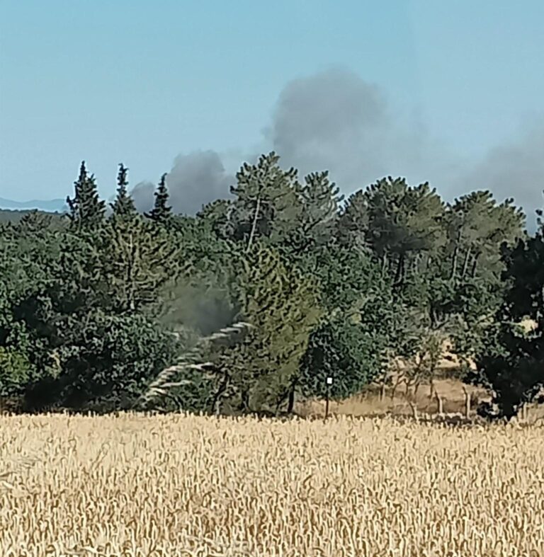 Edirne’de çıkan orman yangını söndürüldü