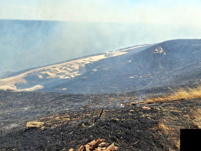 Perinthos Antik Kenti yakınında anız yangını | Çorlu’da Haber