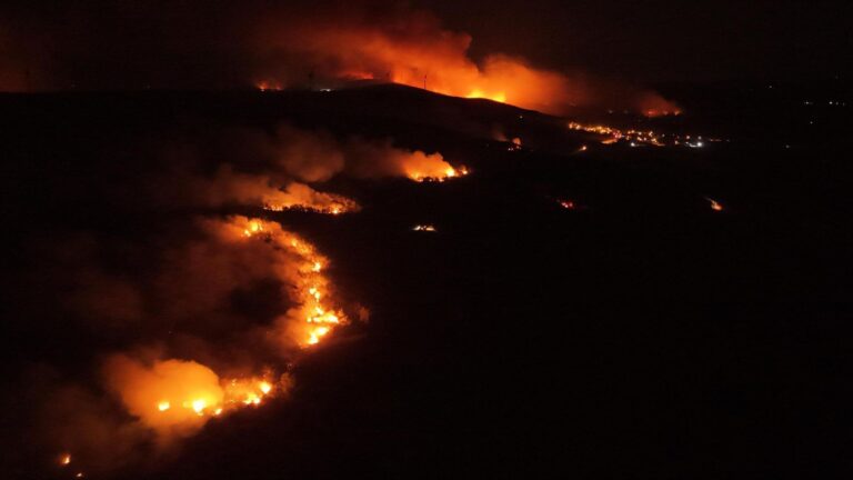 Tekirdağ’da orman yangını; alevler Çanakkale sınırına geçti/ Ek fotoğraflar | Çorlu’da Haber