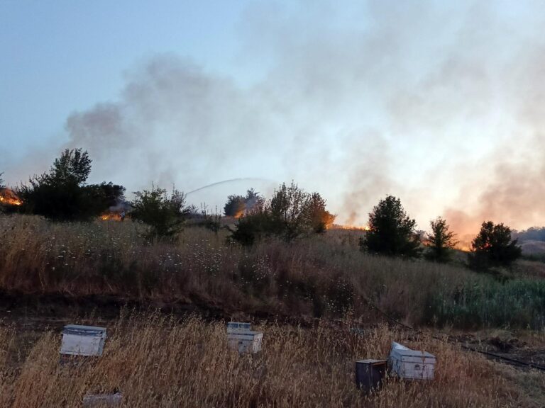 Tekirdağ’da ot yangını | Çorlu’da Haber