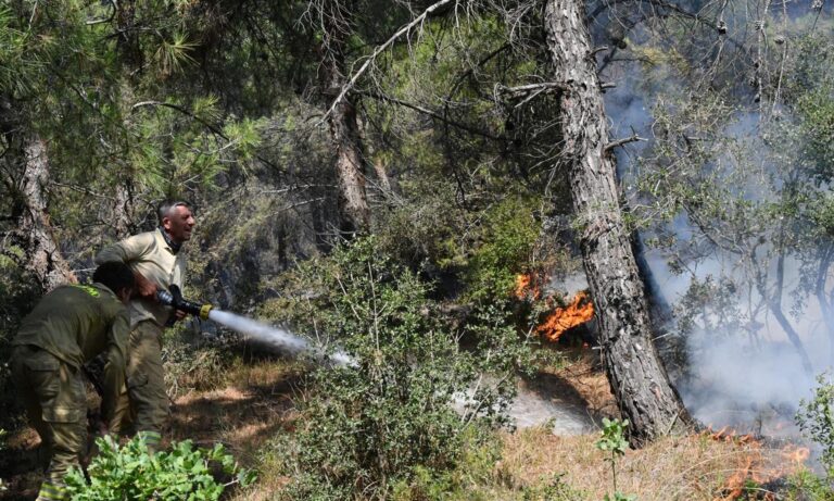 Tekirdağ’daki orman yangını 2’nci gününde / Ek fotoğraflar | Çorlu’da Haber