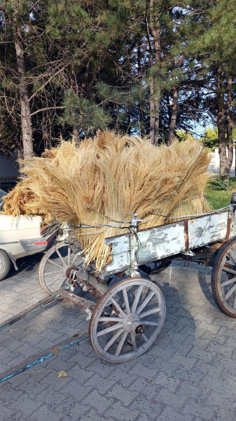 Edirne Ticaret Borsası’nda, yılın ilk mahsul süpürge telleri satışa çıktı