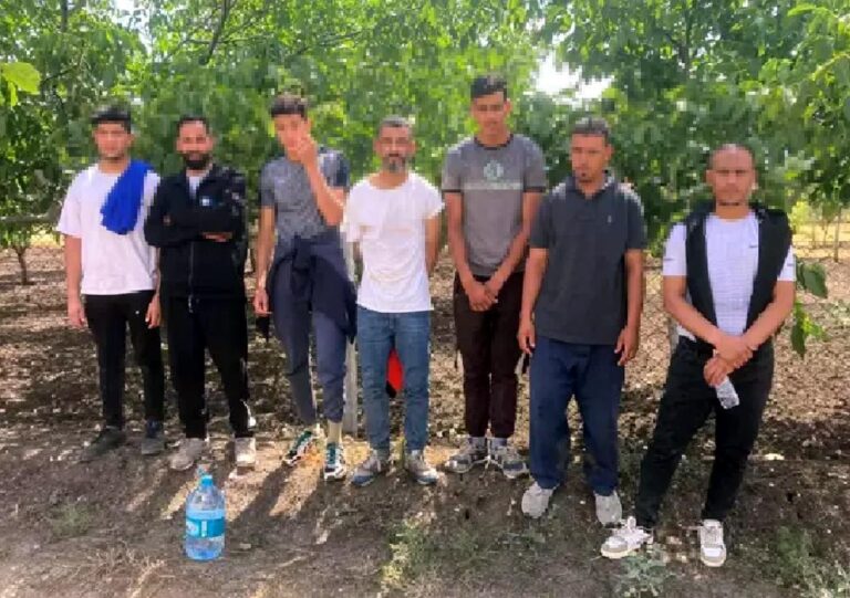 Edirne’de 9 kaçak göçmen yakalandı