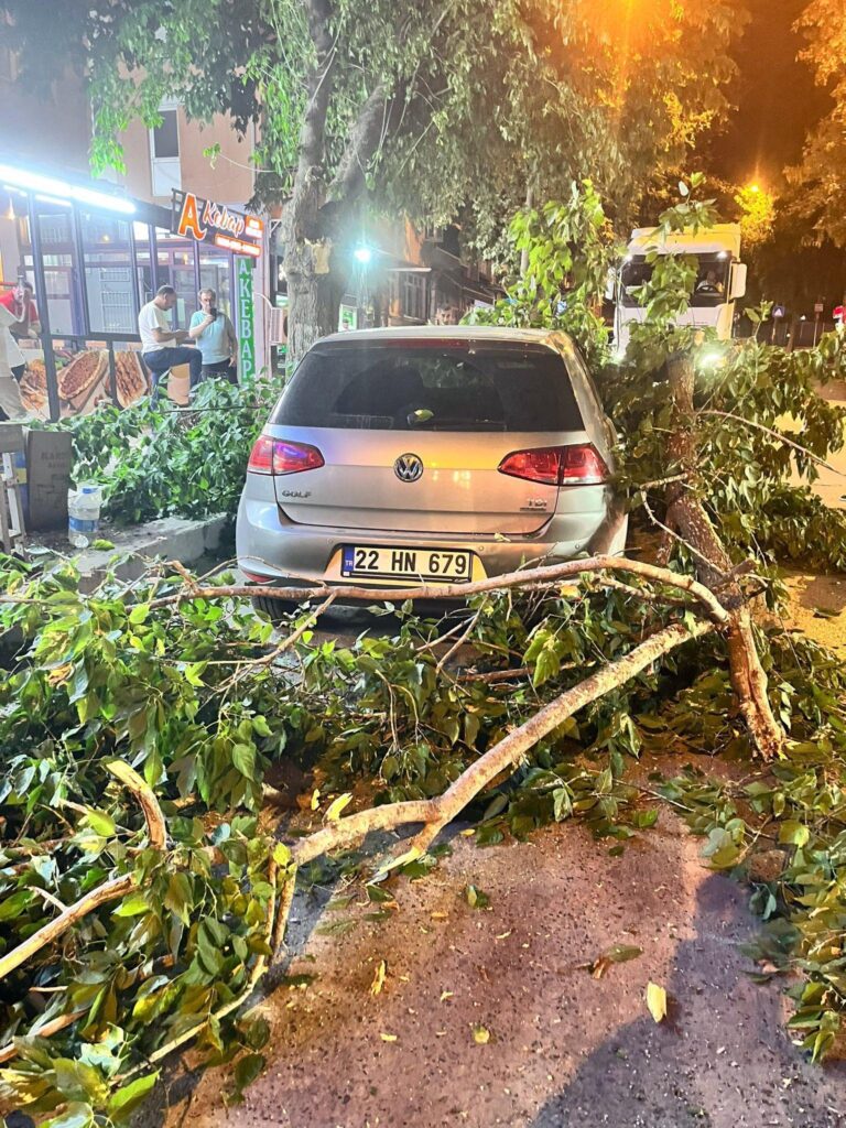 Edirne’de ağaç dalı otomobil ve minibüsün üzerine devrildi