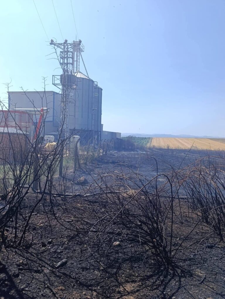 Edirne’de anız yangını; fabrikaya sıçramadan söndürüldü