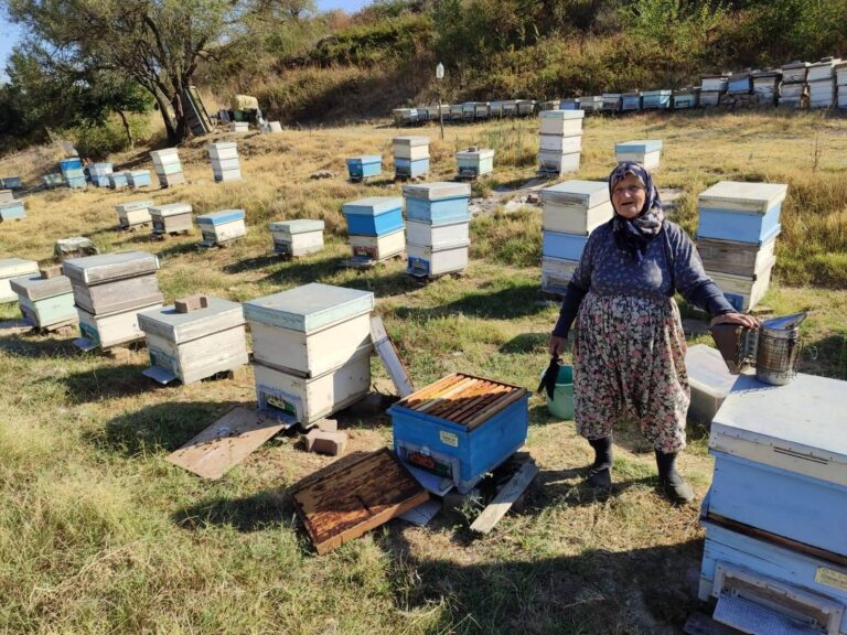 Edirne’de arı kovanları kontrol edildi, arıcılar bilgilendirildi