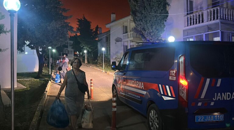 Edirne’de orman yangını (3)