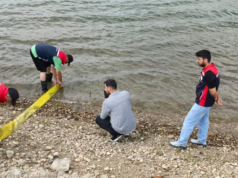 Edirne’de üretilen 3 milyon adet pullu sazan yavrusu, göl ve göletlere bırakıldı