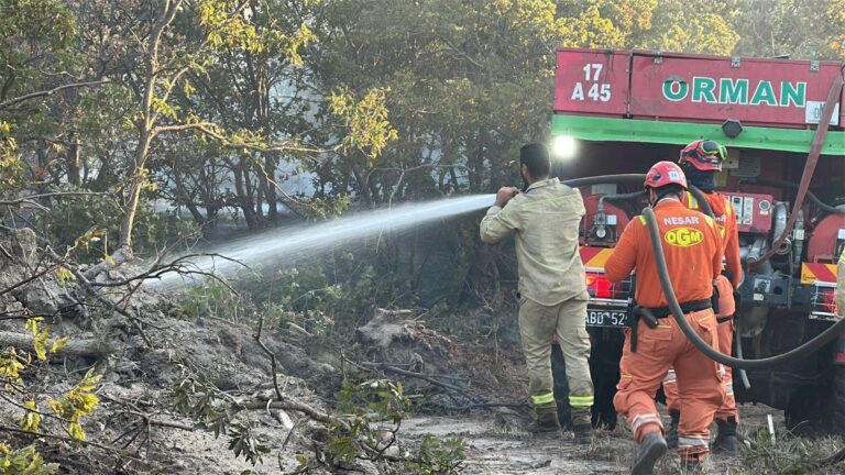 Edirne’deki orman yangını 16 saatte kontrol altına alındı / Ek fotoğraflar