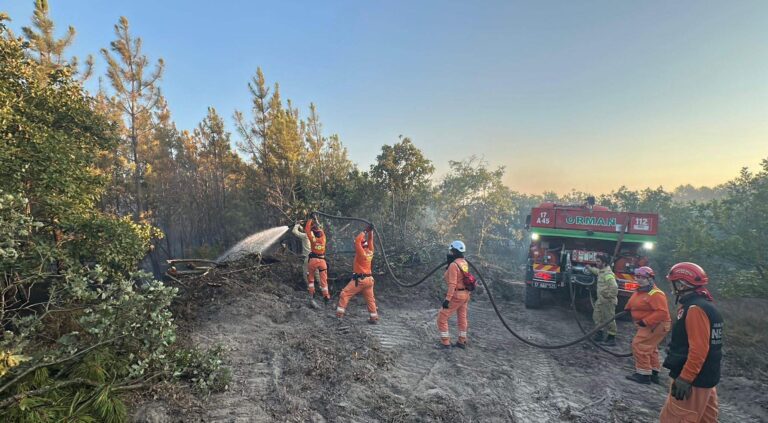 Edirne’deki orman yangını 16 saatte kontrol altına alındı