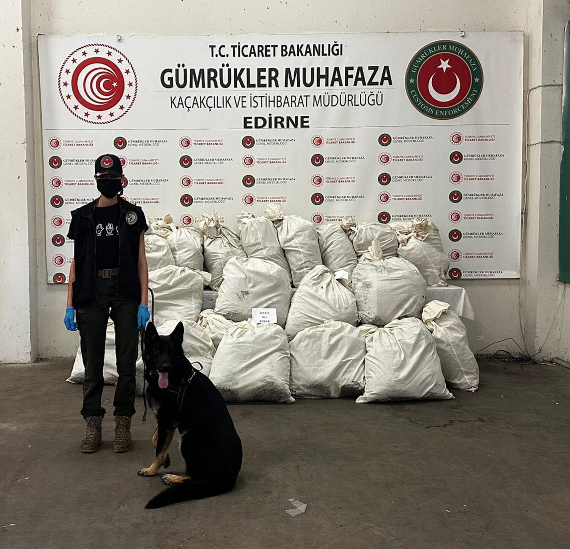 Kapıkule’de 245 kilo esrarı ‘Füge’ buldu Kapıkule’de 245 kilo esrarı ‘Füge’ buldu