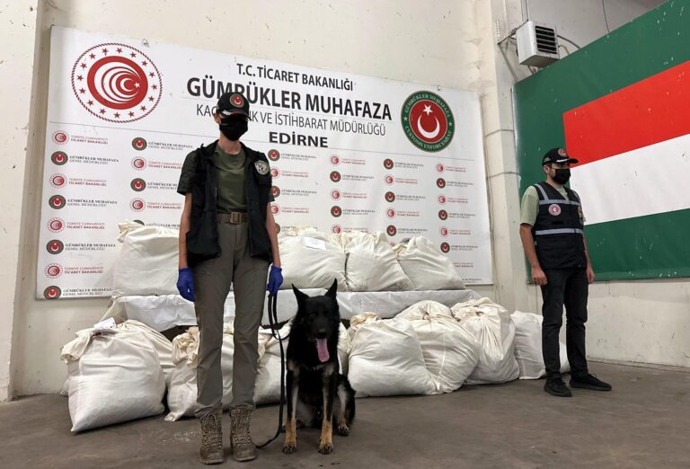 Kapıkule’de 3 TIR’da 179 kilo uyuşturucu ele geçirildi