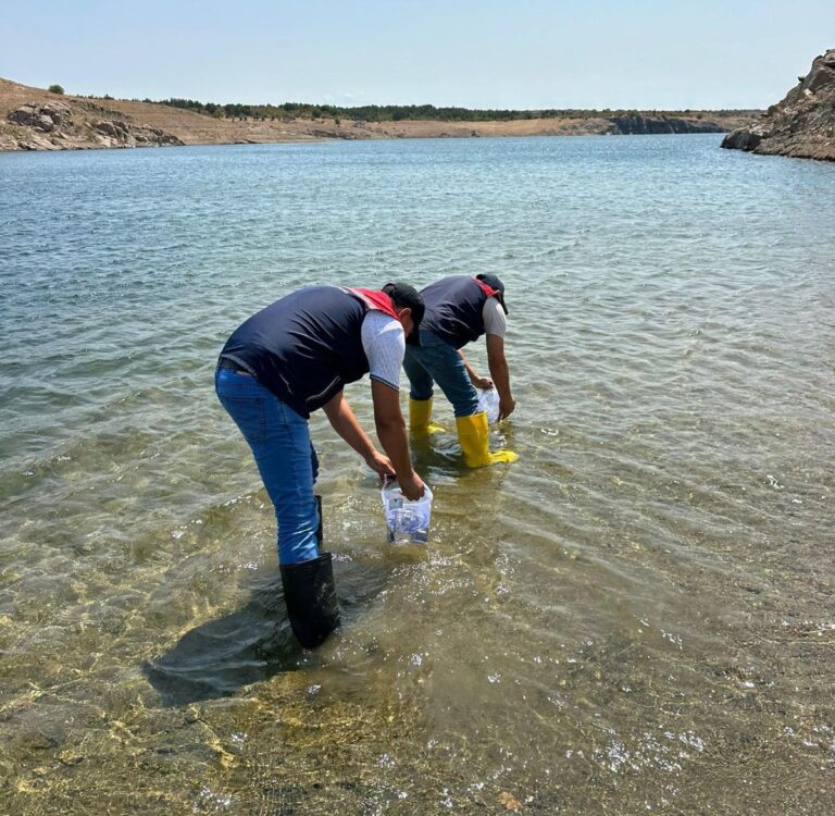 Kırklareli’de 1 milyon adet pullu sazan yavrusu, göl ve göletlere bırakıldı