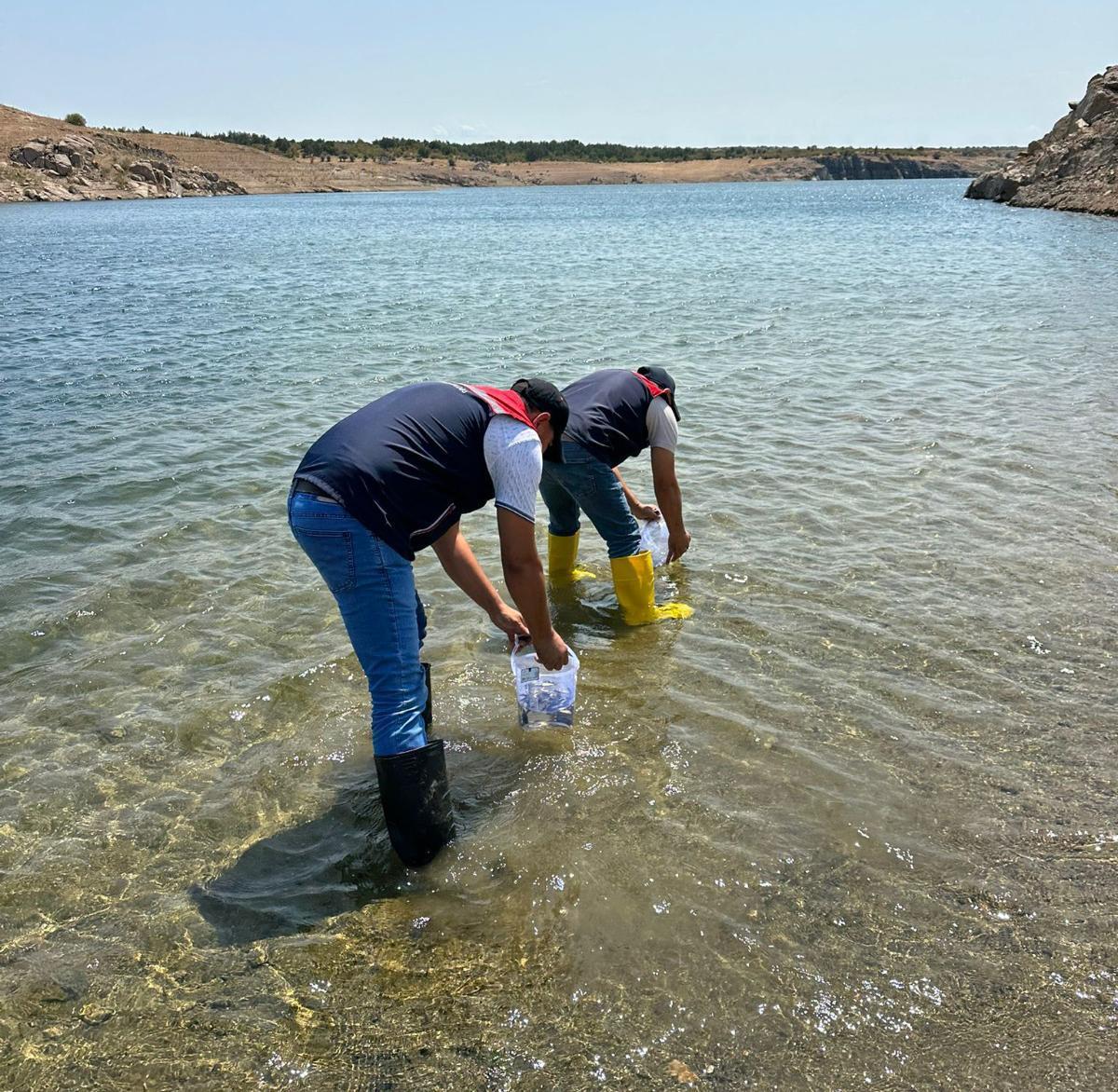 Kırklareli’de 1 milyon adet pullu sazan yavrusu, göl ve göletlere bırakıldı Kırklareli’de 1 milyon adet pullu sazan yavrusu, göl ve göletlere bırakıldı