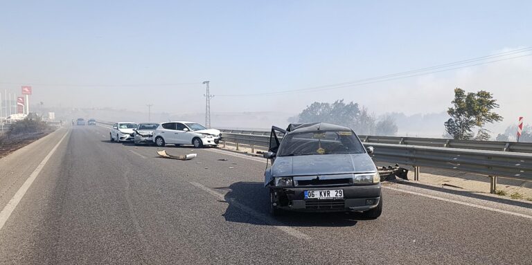 Kırklareli’de anız yangını; TEM ve D-100 bir süre trafiğe kapatıldı (2)
