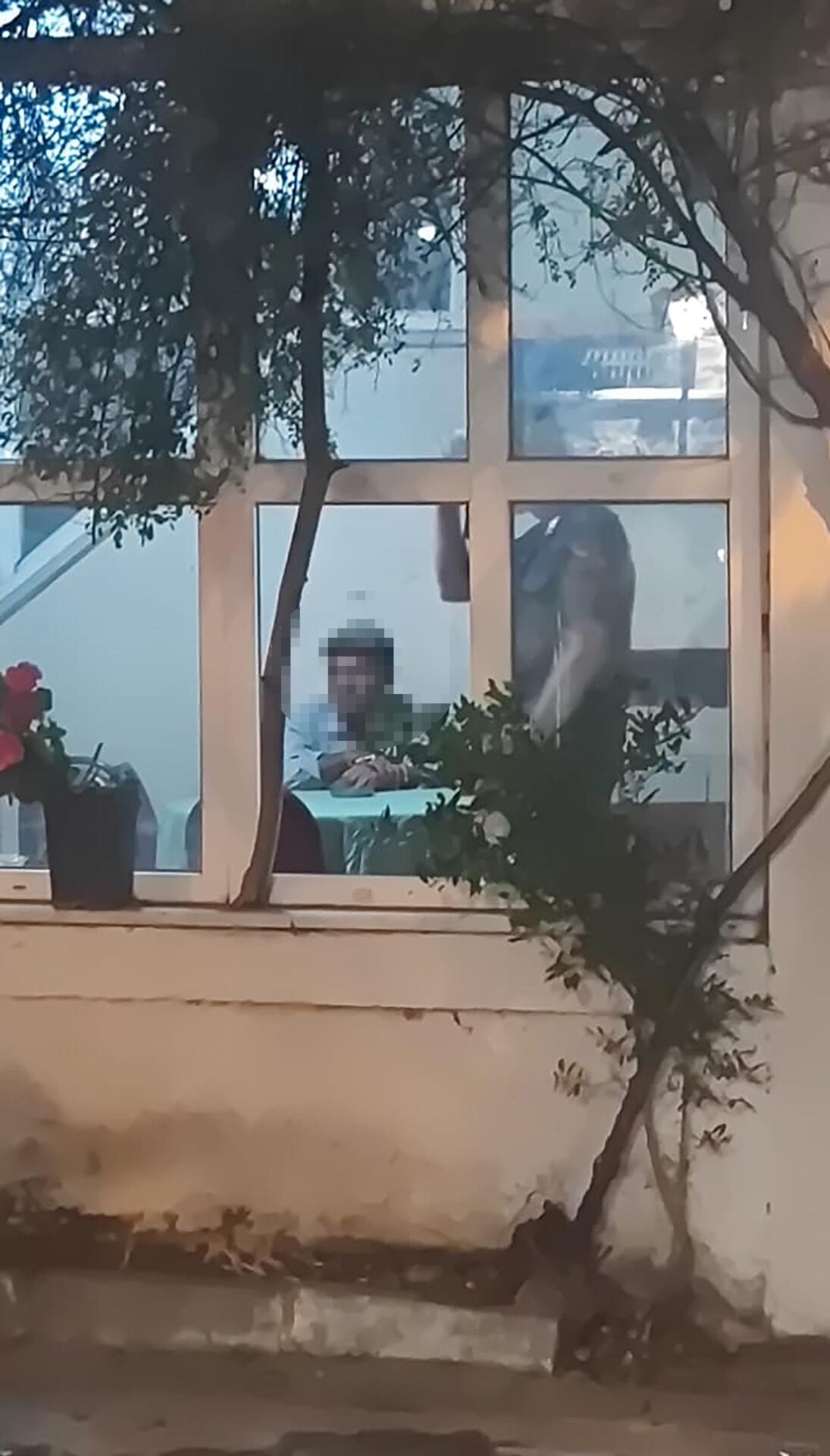 Tekirdağ’da makilik yangını, ormana sıçramadan söndürüldü (4) | Çorlu’da Haber Tekirdağ’da makilik yangını, ormana sıçramadan söndürüldü (4) | Çorlu’da Haber