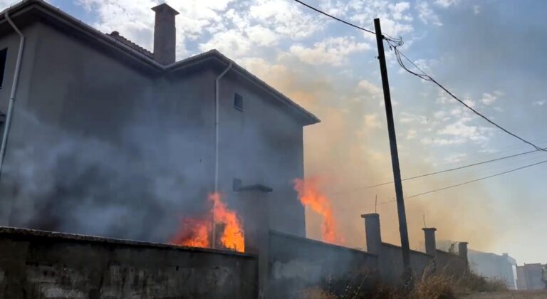 Tekirdağ’da ot yangınında alevler evlere sıçradı (2) | Çorlu’da Haber