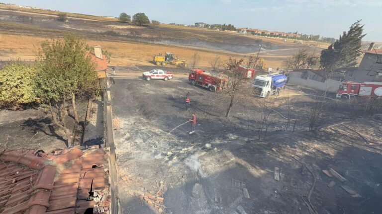 Tekirdağ’da ot yangınında alevler evlere sıçradı | Çorlu’da Haber