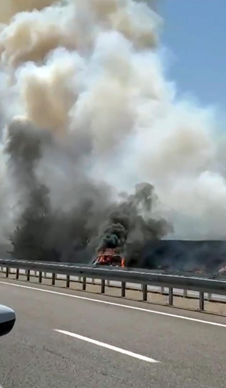 Tekirdağ’da otomobil yangınında, 200 dönüm anız ve TIR dorsesi zarar gördü | Çorlu’da Haber