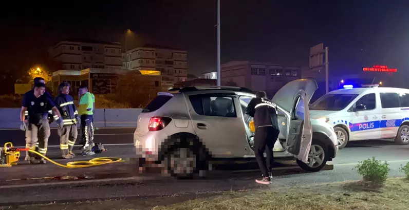 Yol Ortasına Otururken Otomobil Çarptı; Kurtarılamadı Yol Ortasına Otururken Otomobil Çarptı; Kurtarılamadı