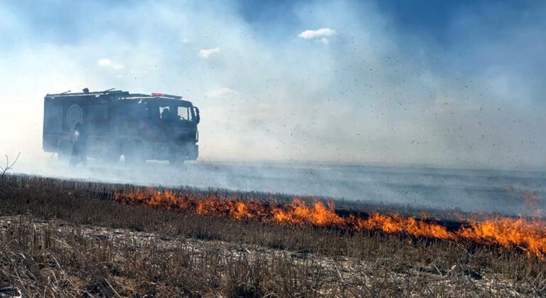 Anız yangınında alevler çiftliklere ulaşmadan kontrol altına alındı | Çorlu’da Haber