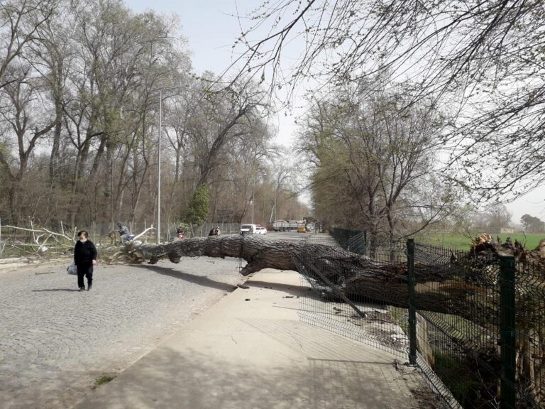 Marmara için ‘kuvvetli rüzgar’ uyarısı