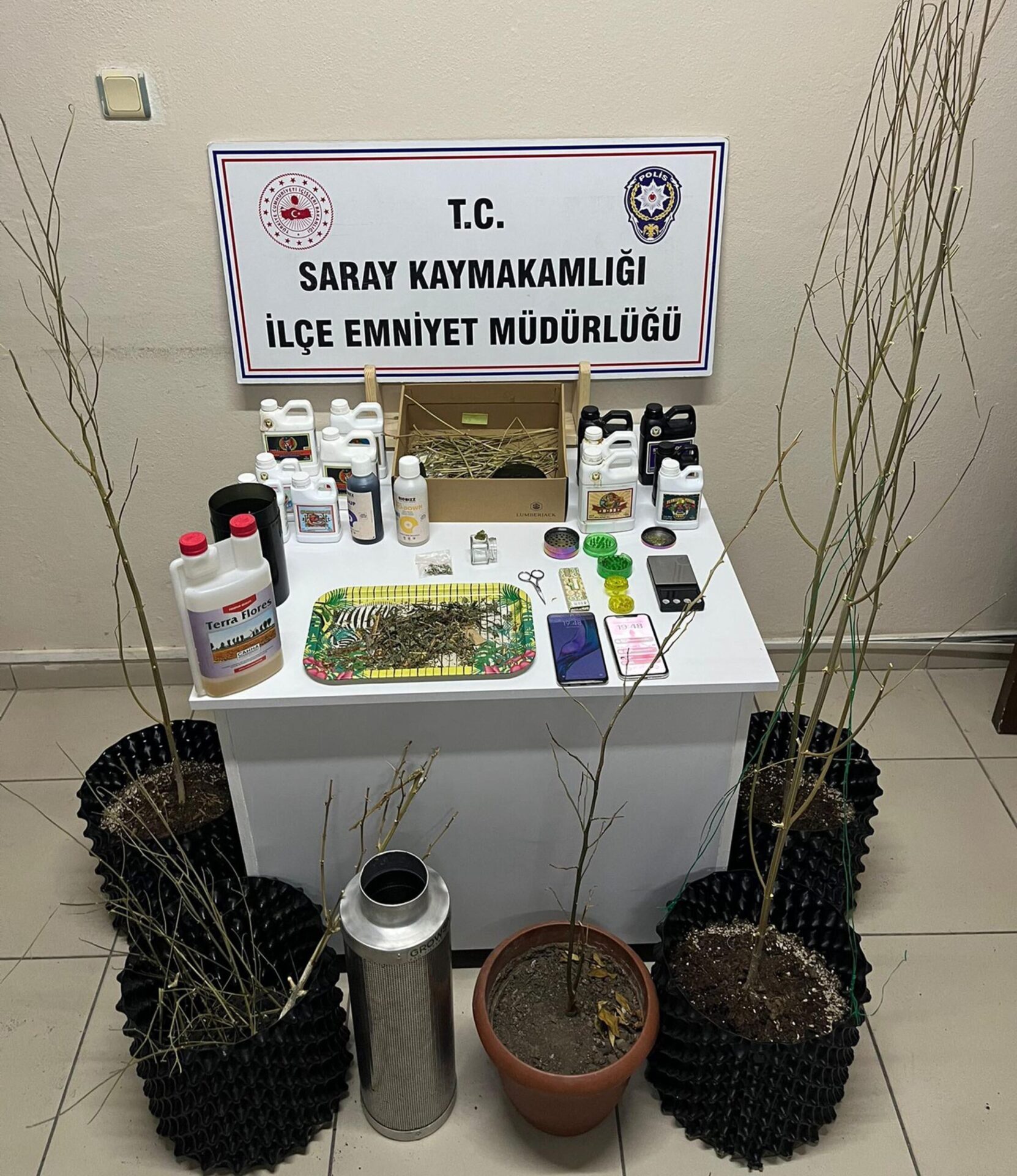 Evlerine kurdukları sistemle kenevir yetiştirip uyuşturucu üreten 5 şüpheli gözaltında | Çorlu’da Haber Evlerine kurdukları sistemle kenevir yetiştirip uyuşturucu üreten 5 şüpheli gözaltında | Çorlu’da Haber