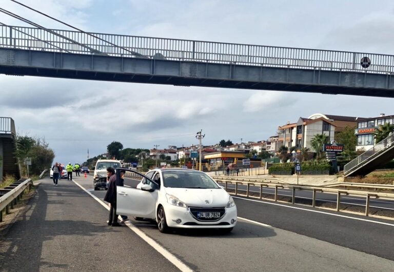 Kamyonet, Kediyi Ezmemek İçin Duran Otomobile Çarptı 1 Yaralı