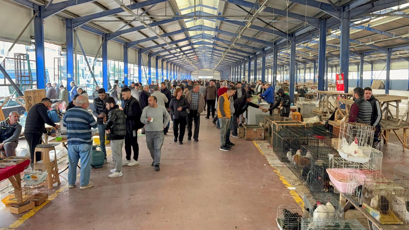 Tekirdağ’da açılan güvercin pazarı, aileler ve çocukların ilgi odağı oldu | Çorlu’da Haber Tekirdağ’da açılan güvercin pazarı, aileler ve çocukların ilgi odağı oldu | Çorlu’da Haber