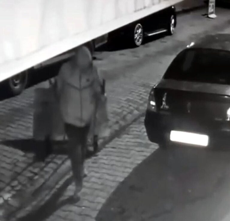 El arabası ile dondurma dolabını çaldı; o anlar kamerada